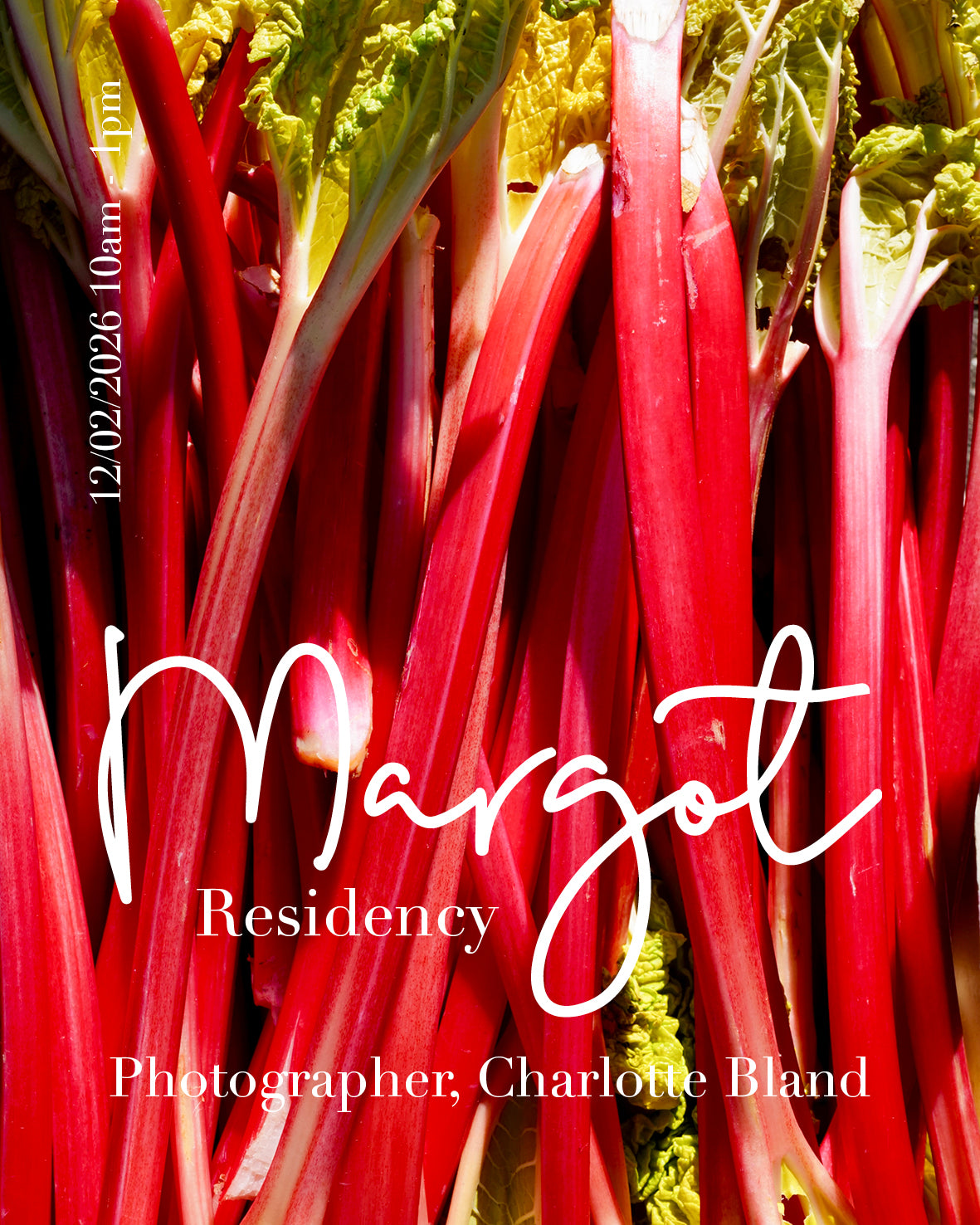 The Margot Residency with photographer Charlotte Bland - Feb 2026
