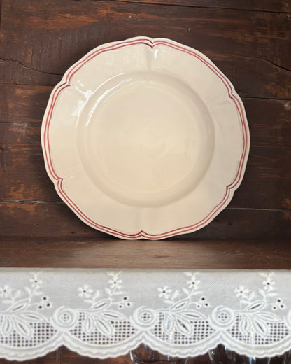 The Margot Plate